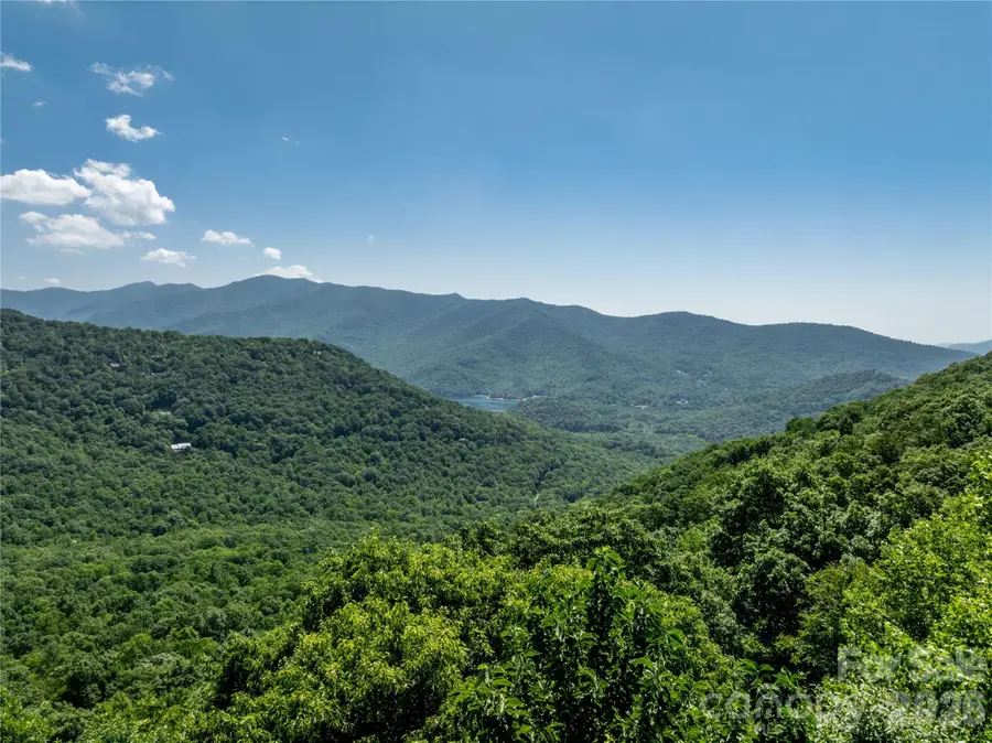 8 White Birch Court #424, Black Mountain, NC 28711 - #3