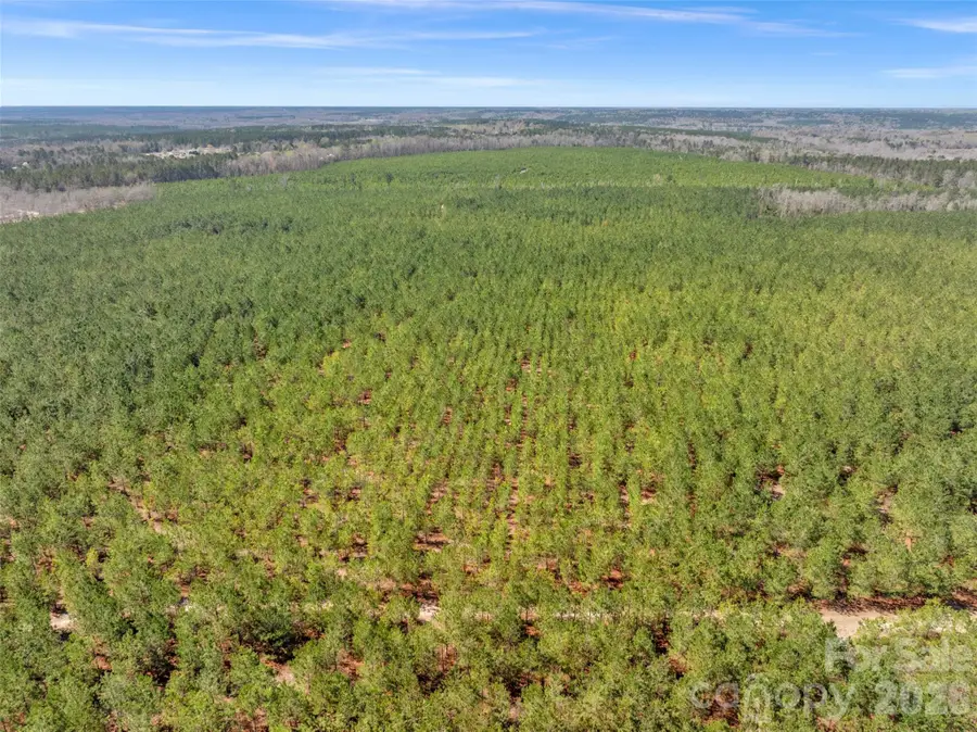 931 Charlie Johnson Road #4, Kershaw, SC 29067 - #2