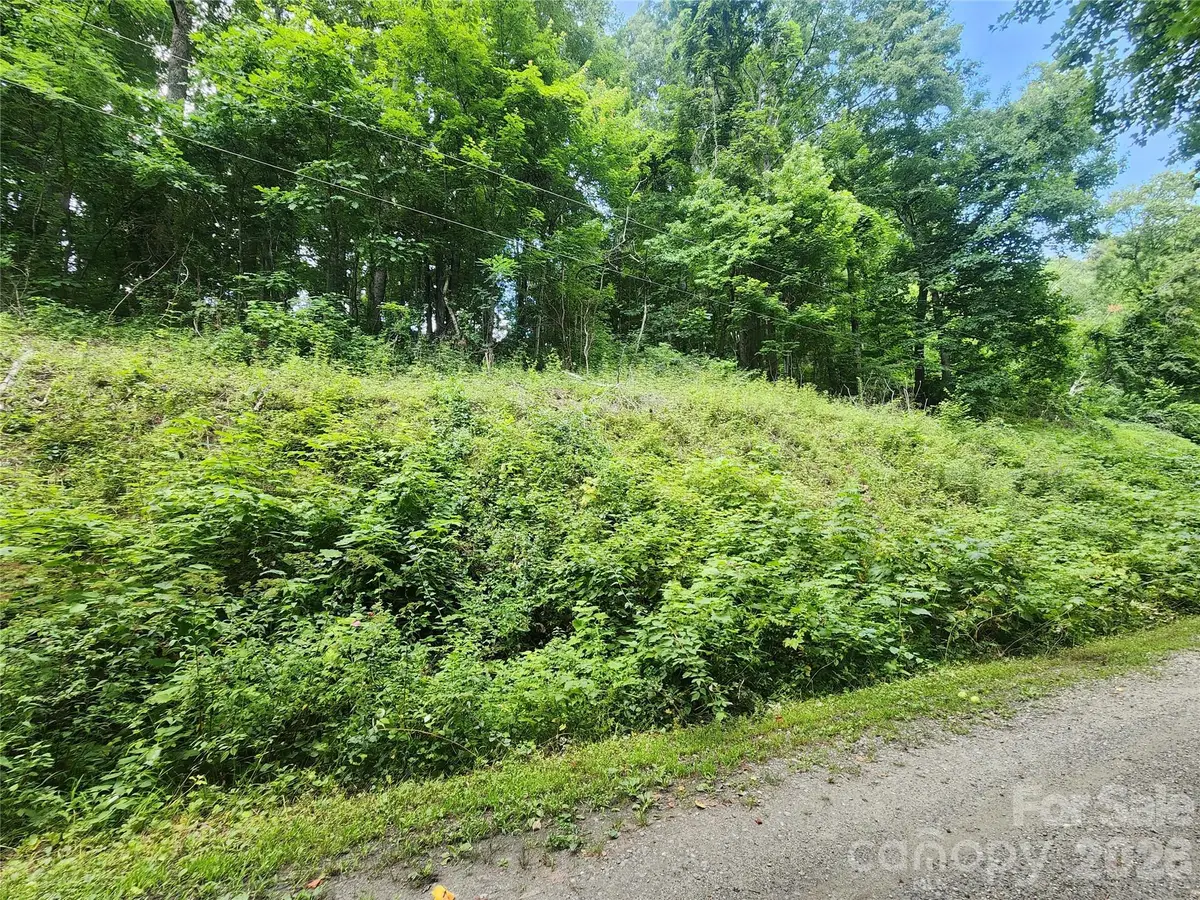000 Jacks Knob Road, Weaverville, NC 28787 - #1