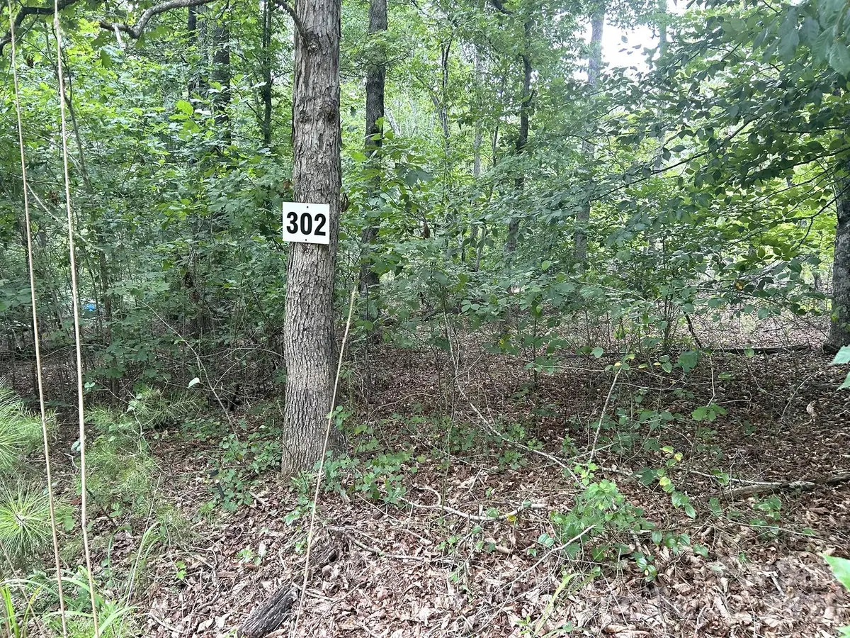 00 Bitteroot Circle #302, Rutherfordton, NC 28139 - #1