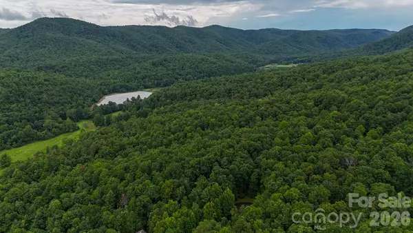 364 & 365 Big Bear Trail #23/24, Zirconia, NC 28790