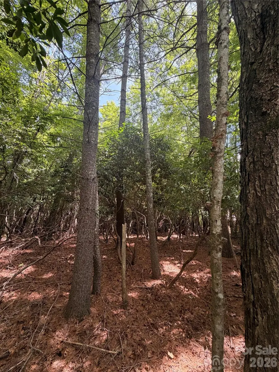 TBD Dvga Court #L031/U09, Brevard, NC 28712 - #2