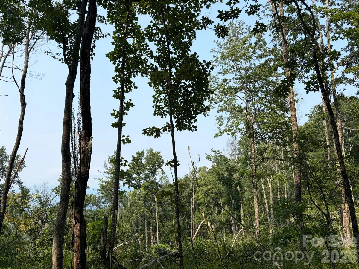 000 Catbrier Lane, Burnsville, NC 28714 - #1