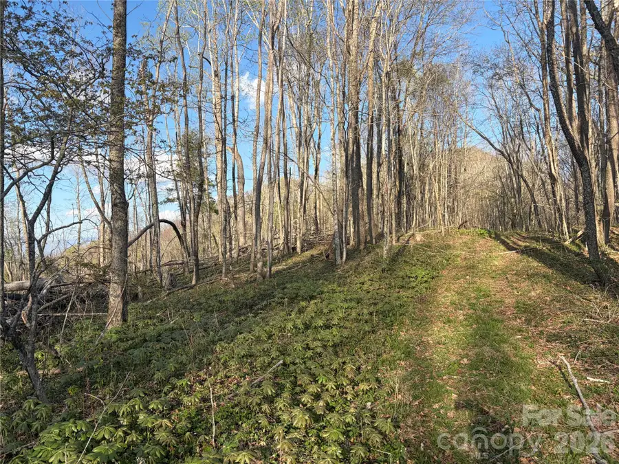 000 Catbrier Lane, Burnsville, NC 28714 - #2