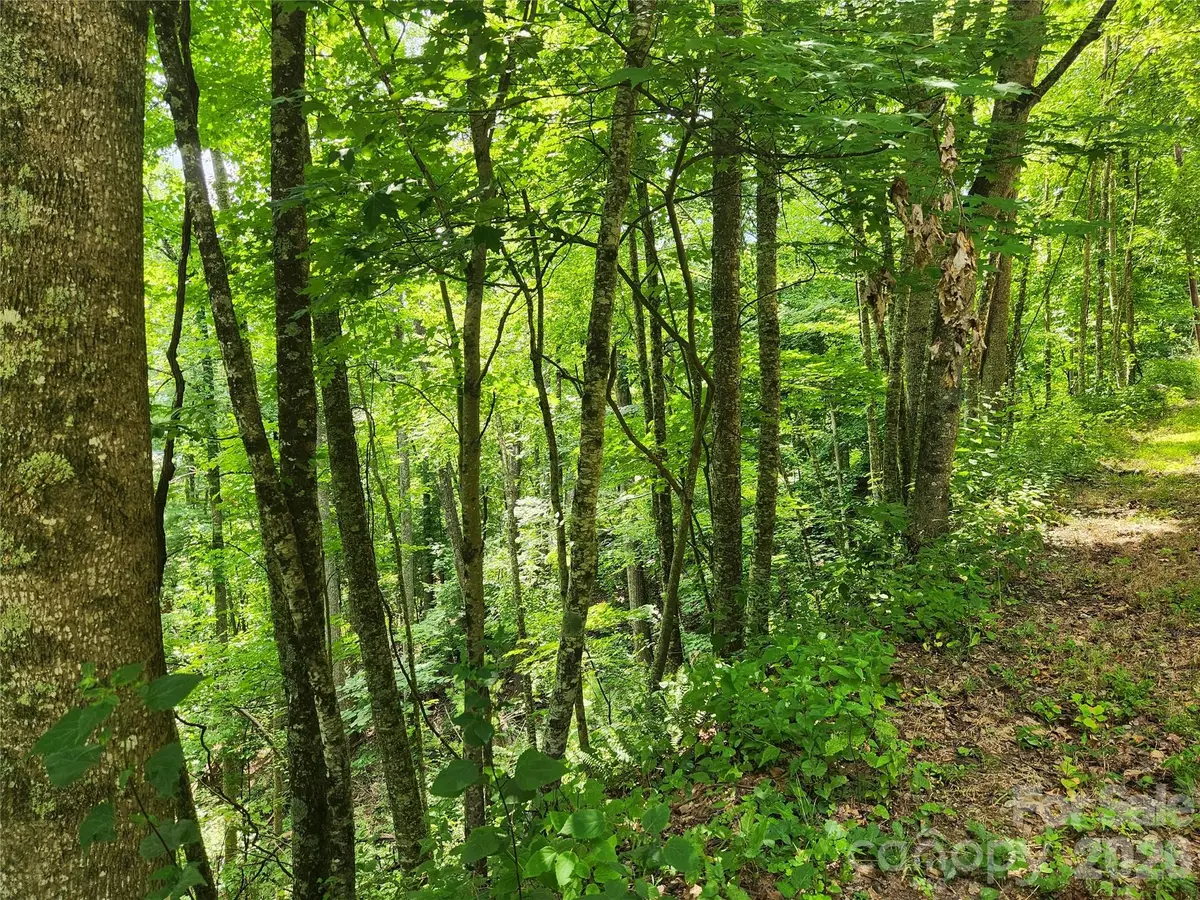 00 Green Ridge Falls Road, Weaverville, NC 28787 - #1