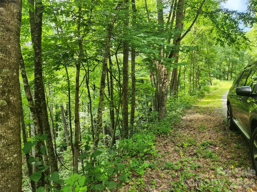 00 Green Ridge Falls Road, Weaverville, NC 28787 - #2