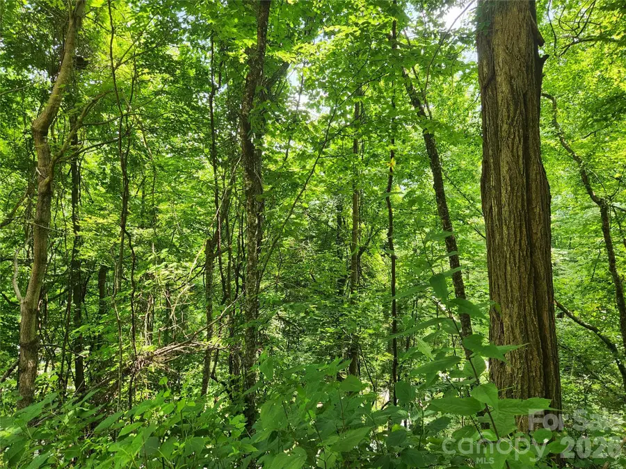 00 Green Ridge Falls Road, Weaverville, NC 28787 - #3