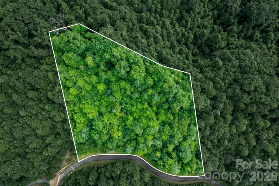 565 Pine Cone Trail, Marshall, NC 28753 - #2