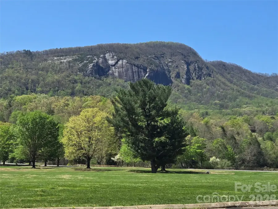 156 W Lake Drive S #1301, Lake Lure, NC 28746 - #3