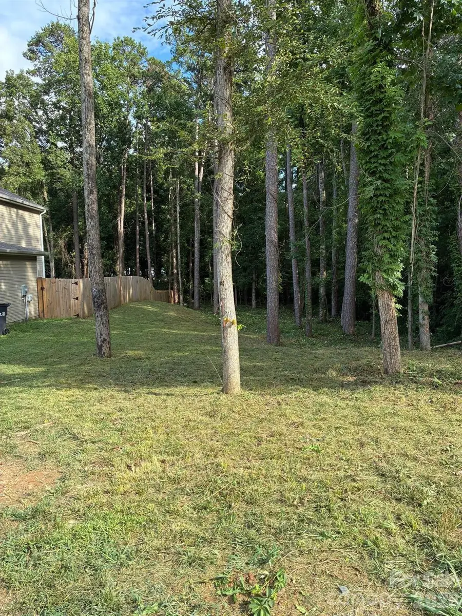 4921 Coppala Drive, Charlotte, NC 28216 - #2