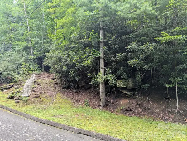 99999 Maryland Place #1426, Montreat, NC 28757