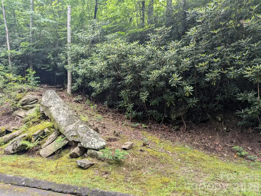 99999 Maryland Place #1426, Montreat, NC 28757 - #2