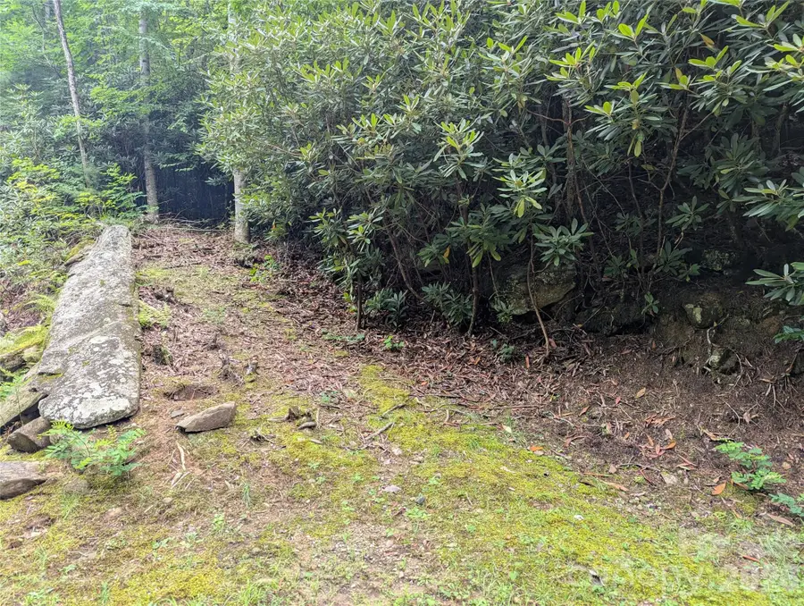 99999 Maryland Place #1426, Montreat, NC 28757 - #3