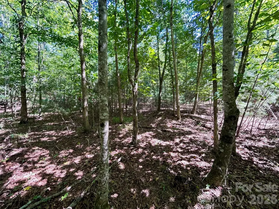 1036 W Paradise Harbor Drive, Connelly Springs, NC 28612 - #2