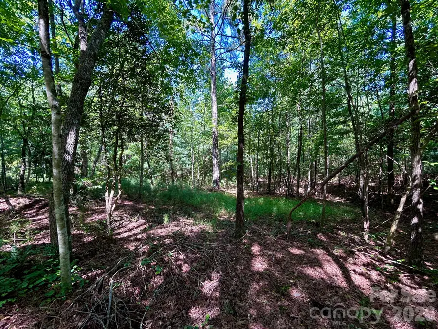 1036 W Paradise Harbor Drive, Connelly Springs, NC 28612 - #3