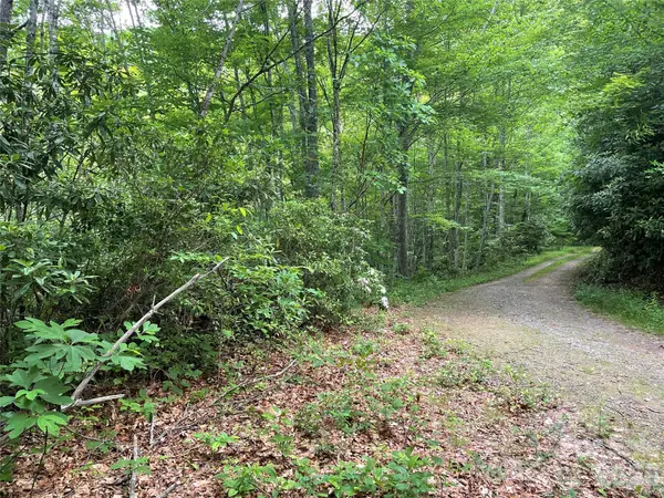 Lt 279 Cabin Flats Road #279, Balsam, NC 28707