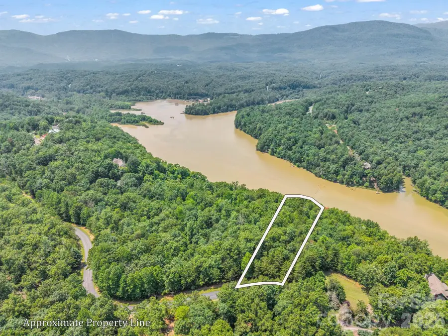 00 Lake Adger Parkway #60, Mill Spring, NC 28756 - #2
