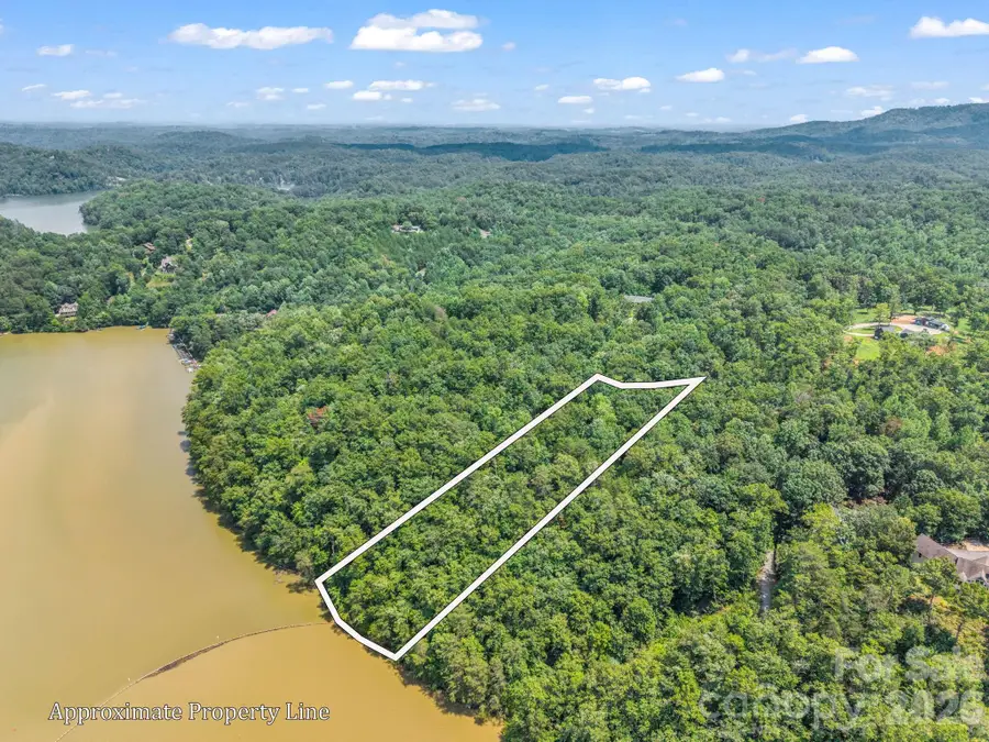 00 Lake Adger Parkway #60, Mill Spring, NC 28756 - #3