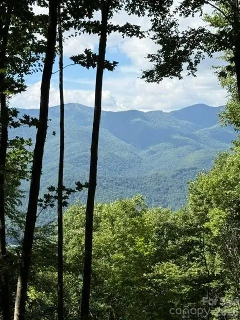 140 Boar Ridge Road, Sylva, NC 28779 - #1