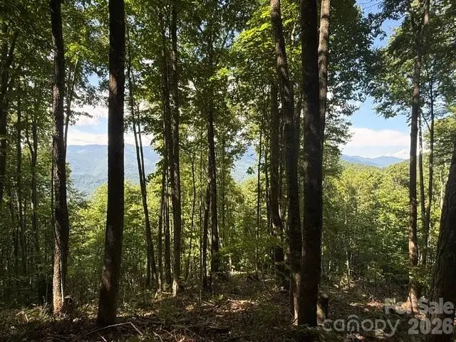 140 Boar Ridge Road, Sylva, NC 28779 - #3