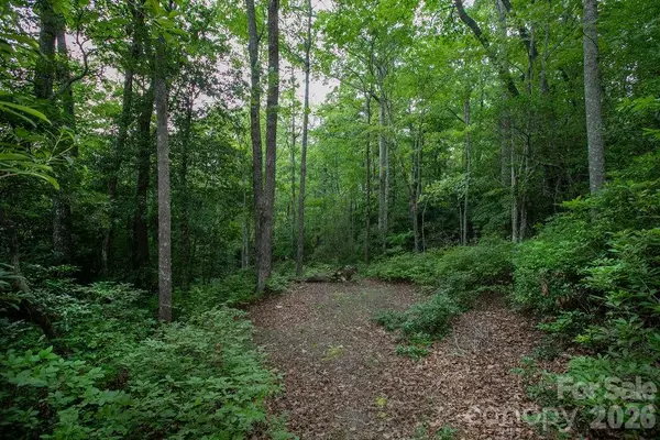 Lot 28 Big Hill Road #28, Brevard, NC 28712