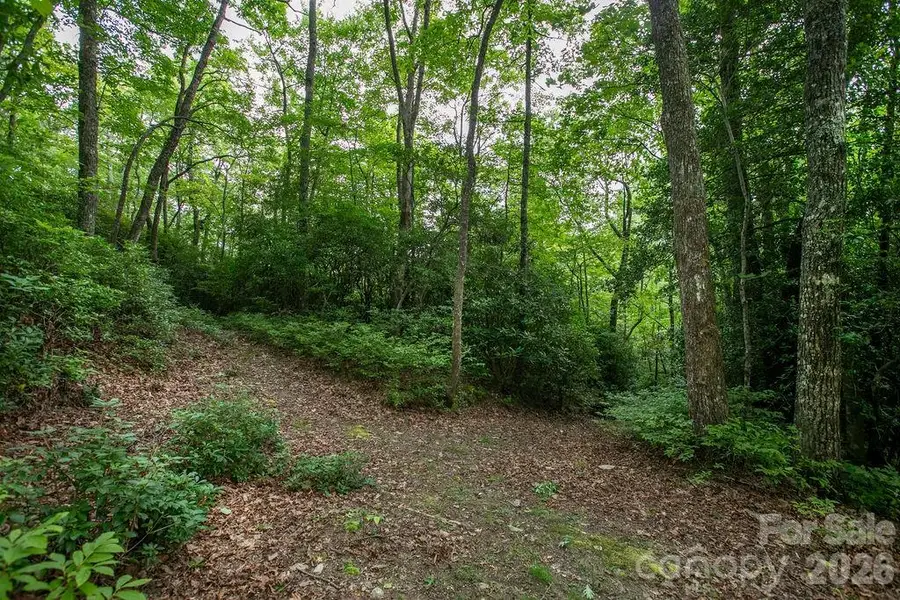 Lot 28 Big Hill Road #28, Brevard, NC 28712 - #3