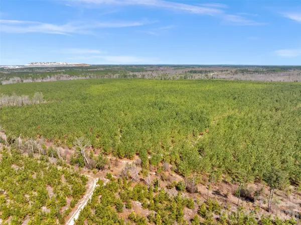 931 Charlie Johnson Road #3, Kershaw, SC 29067