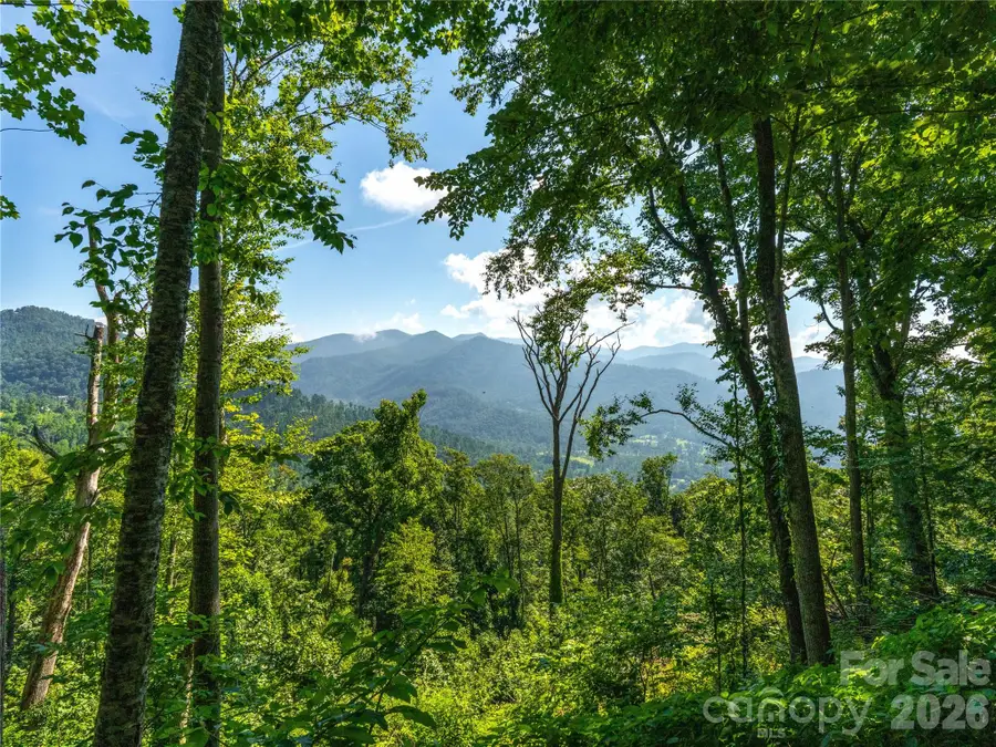 36 Cary Lane, Asheville, NC 28804 - #3