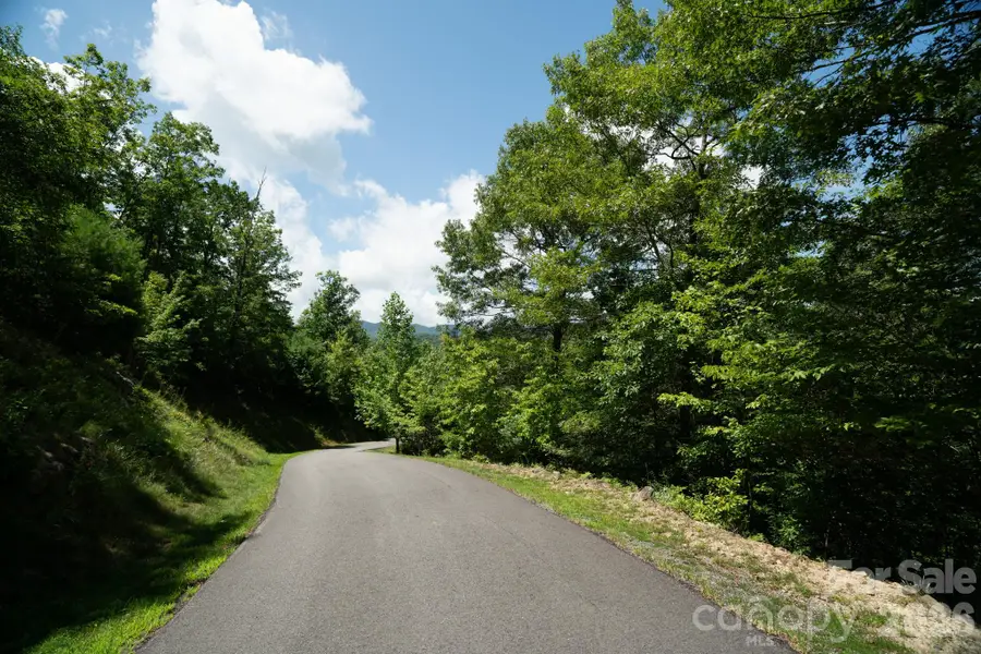 230 White Rapid Road #35, Marshall, NC 28753 - #2