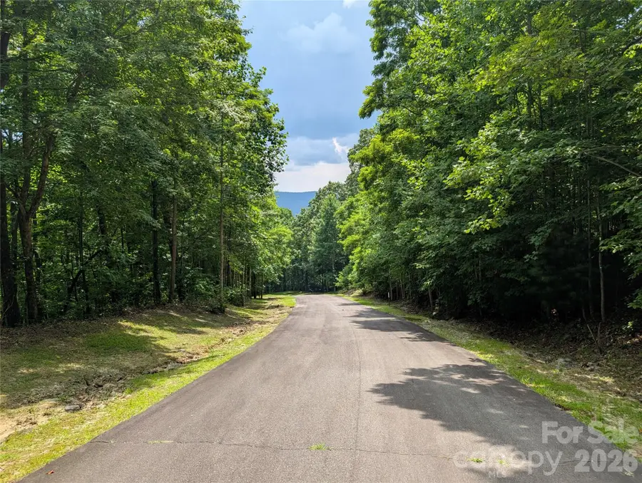 115 Ivywood Lane, Laurel Park, NC 28739 - #2