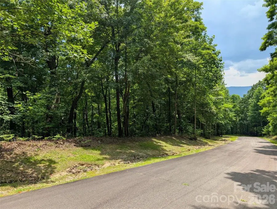 115 Ivywood Lane, Laurel Park, NC 28739 - #3