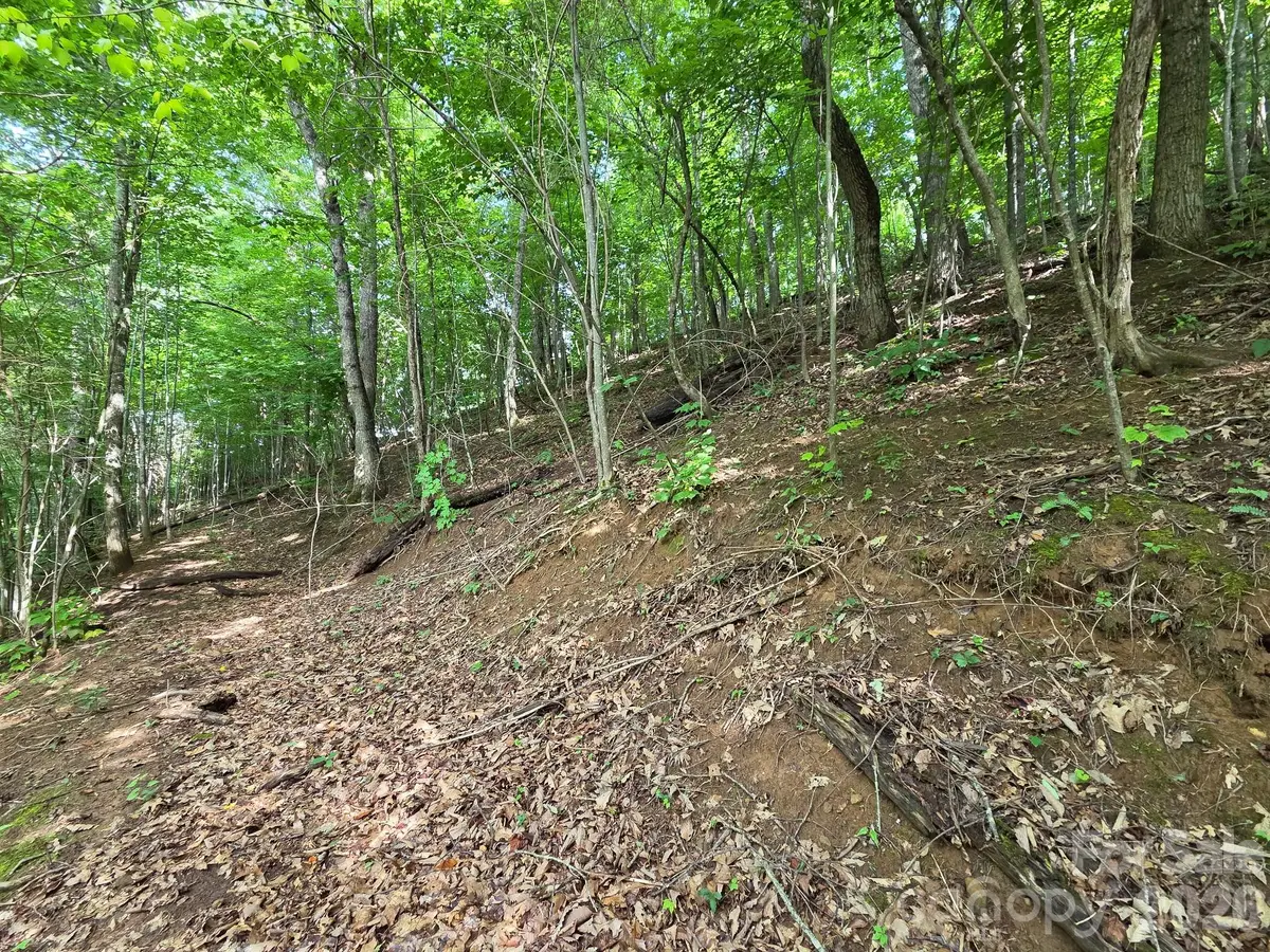 TBD Grandview Cliff Heights, Ivy Hill, NC 28751 - #1
