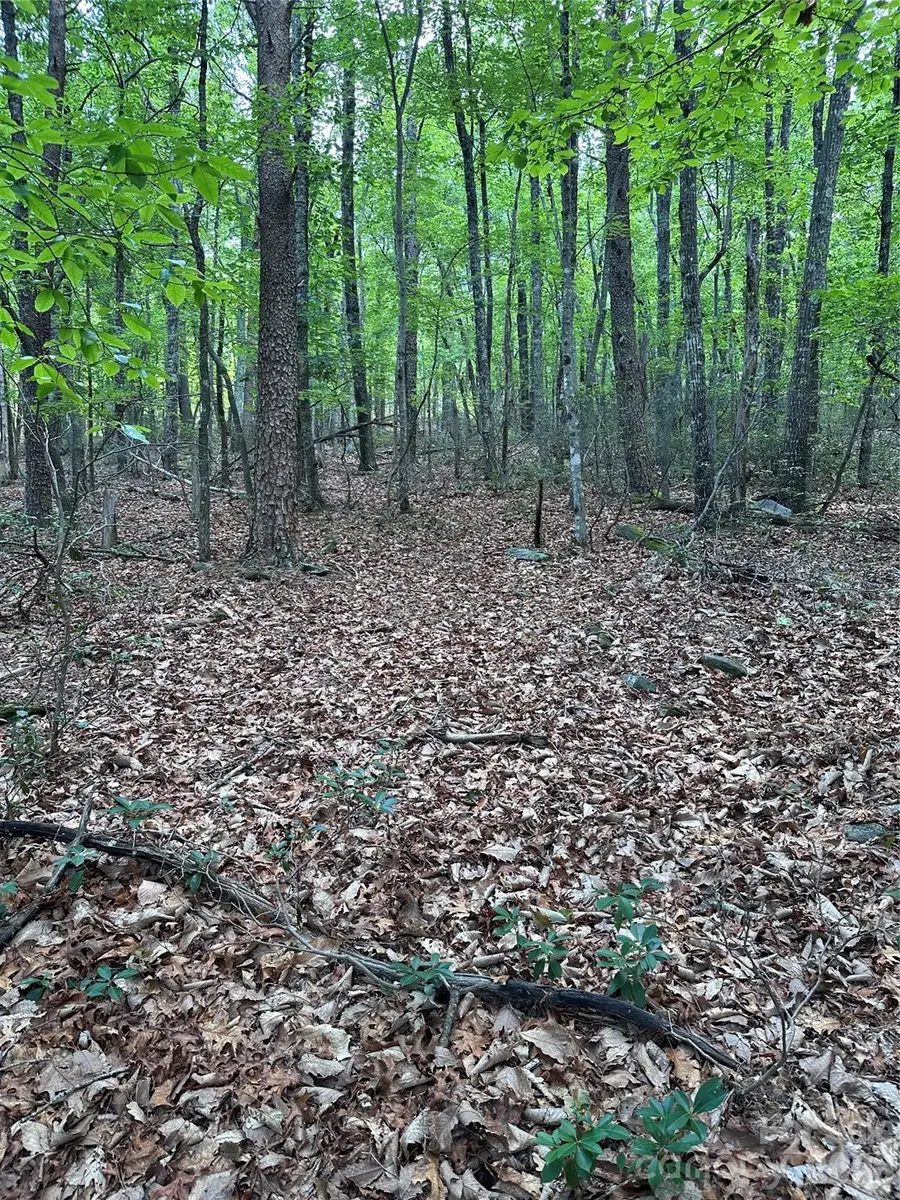 1070 Elm Street, Danbury, NC 27016 - #2