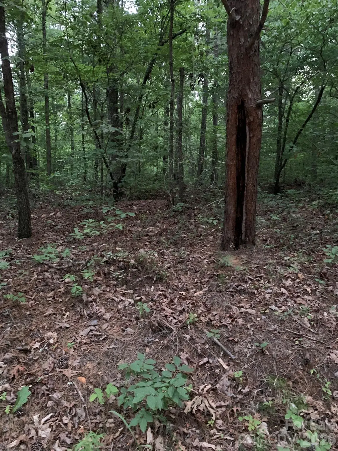 0 Ore Bank Road, Smyrna, SC 29743 - #1