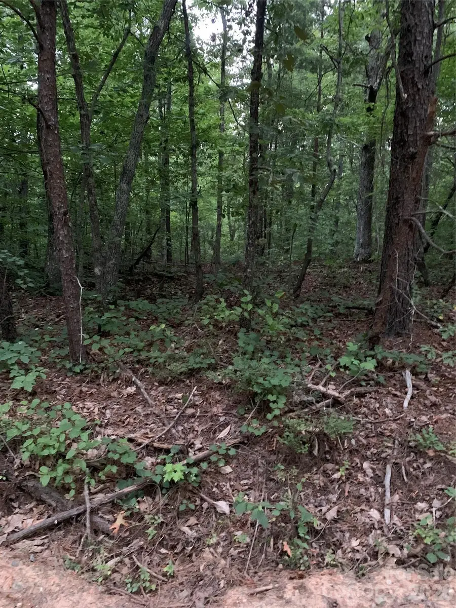0 Ore Bank Road, Smyrna, SC 29743 - #2
