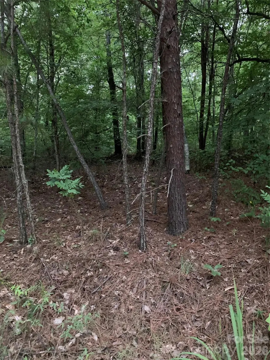 0 Ore Bank Road, Smyrna, SC 29743 - #3
