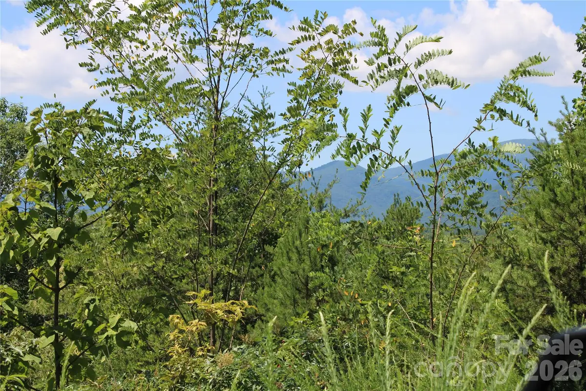 00 Sparrows Way, Lake Lure, NC 28746 - #1