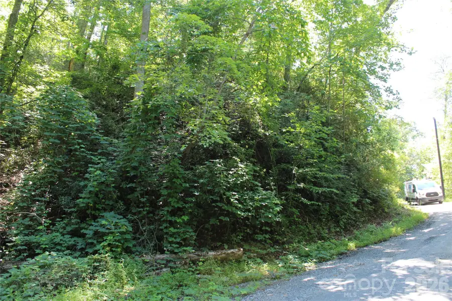 00 Sparrows Way, Lake Lure, NC 28746 - #2