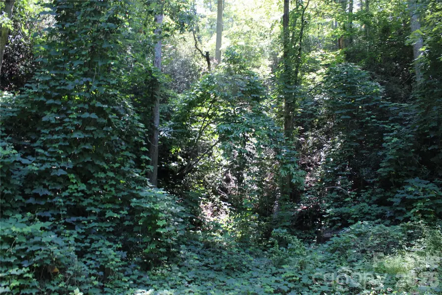00 Sparrows Way, Lake Lure, NC 28746 - #3
