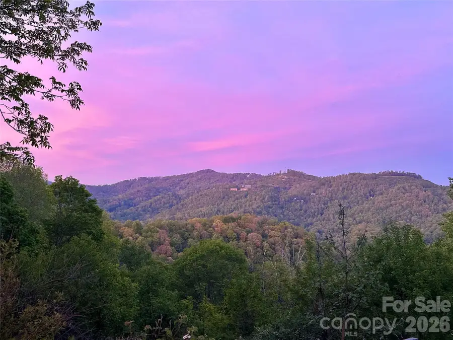1185 & 1115 Black Bear Drive, Mars Hill, NC 28754 - #2
