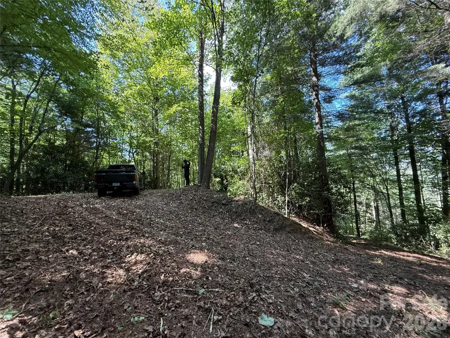 99999 Walking Horse Trail, Candler, NC 28715 - #3