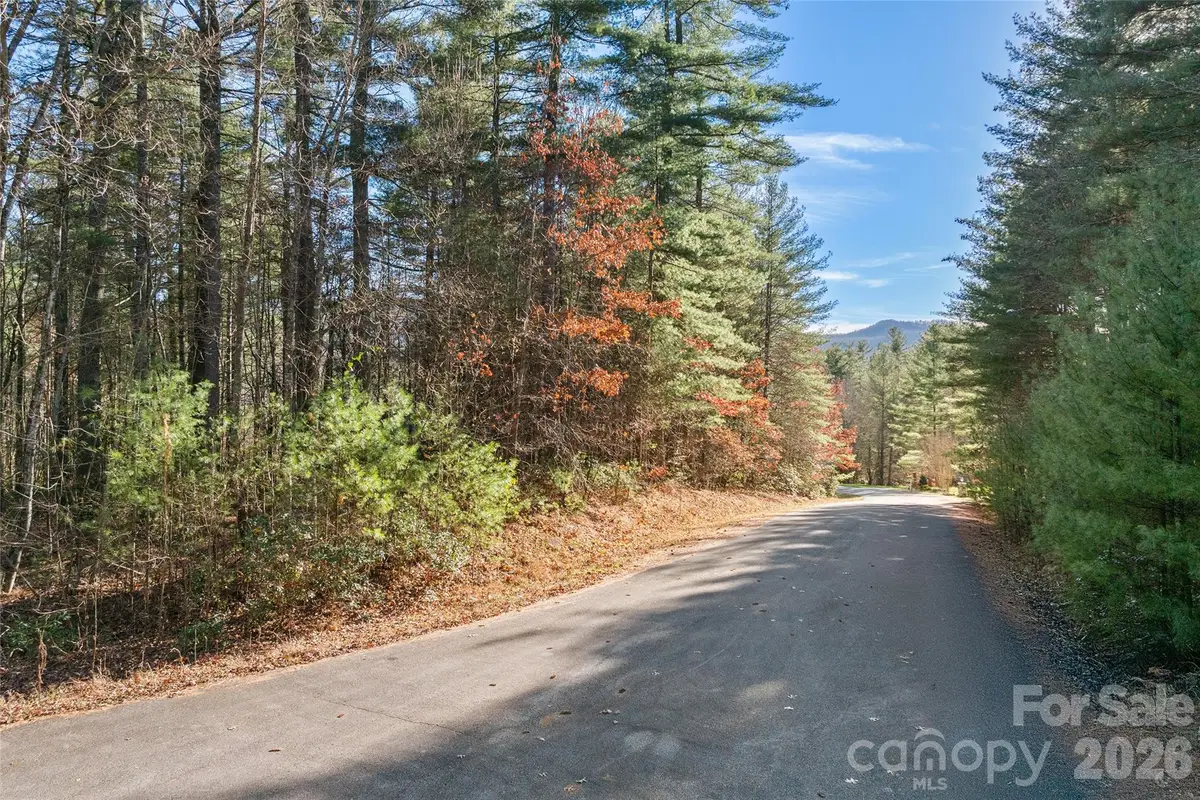 0 Daylily Drive #Lot 20, Hendersonville, NC 28739 - #1