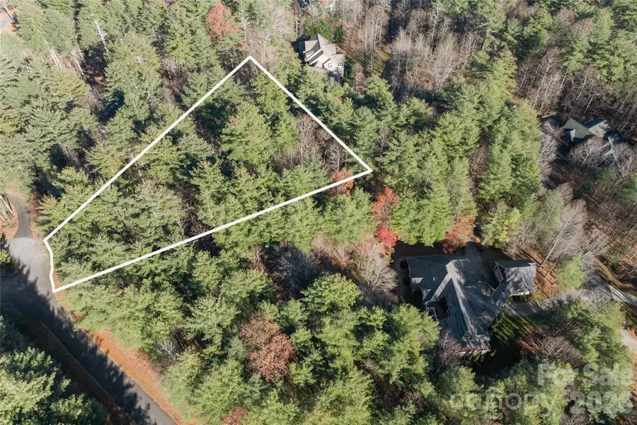 0 Daylily Drive #Lot 20, Hendersonville, NC 28739 - #2