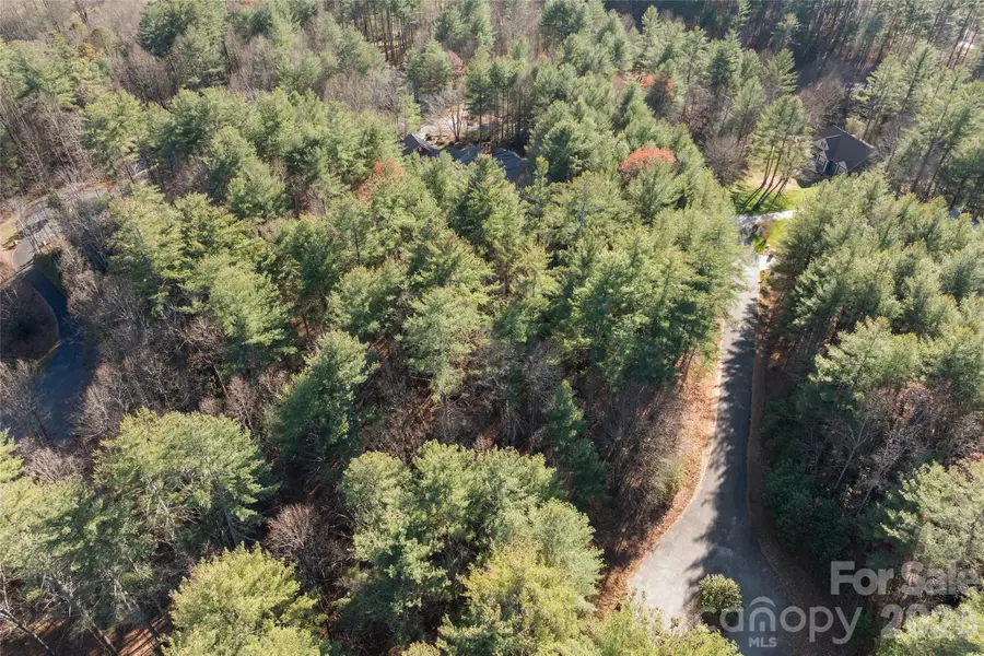 0 Daylily Drive #Lot 20, Hendersonville, NC 28739 - #3