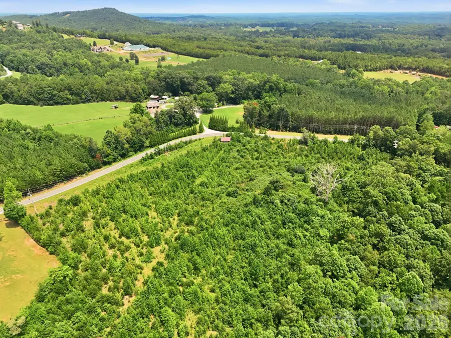 1522 Little Mountain Road, Columbus, NC 28722 - #2
