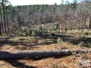 2072 Snowmass Drive #36, Connelly Springs, NC 28612 - #1