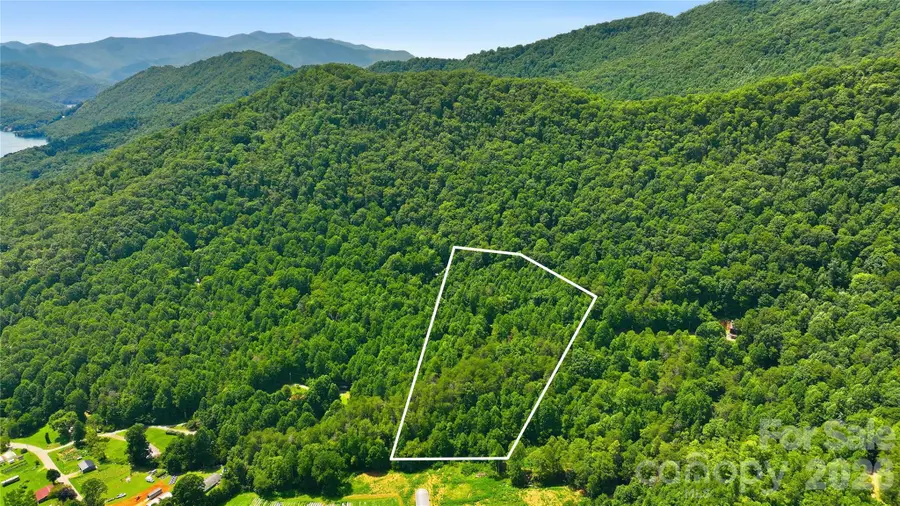 00 E Buffalo Road #13, Robbinsville, NC 28771 - #2
