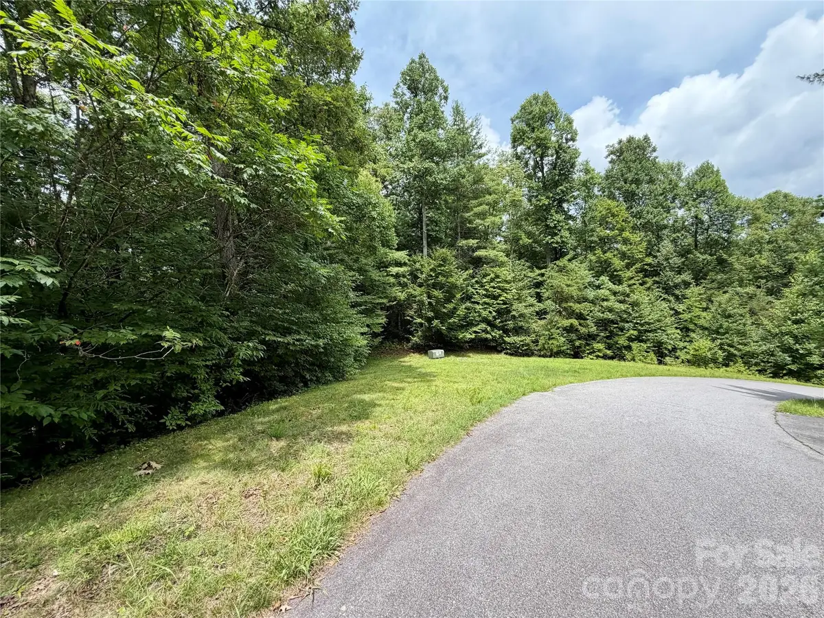1156 Bear River Lodge Trail, Marshall, NC 28753 - #1