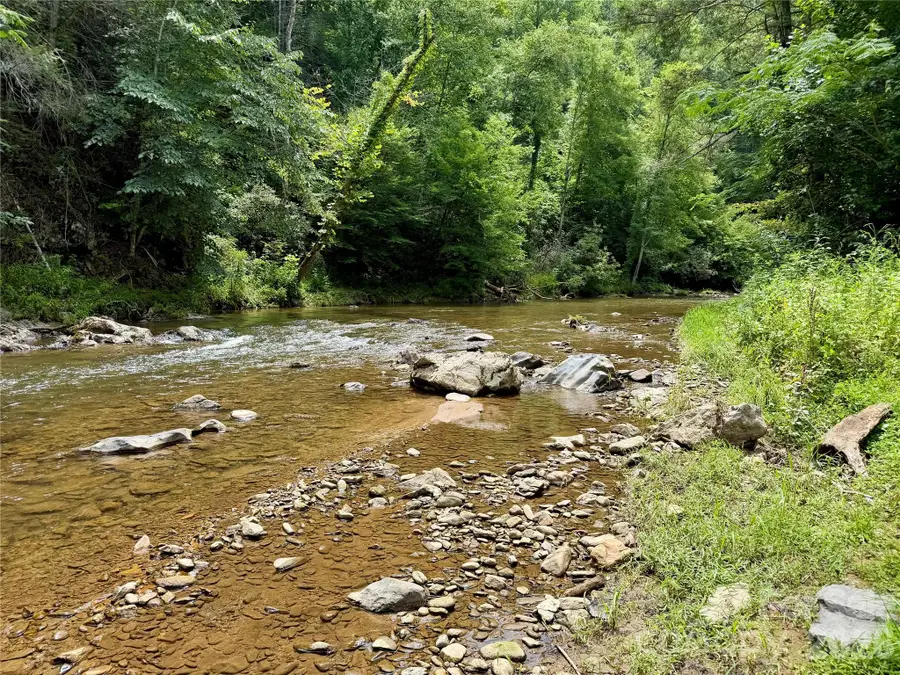 1156 Bear River Lodge Trail, Marshall, NC 28753 - #3