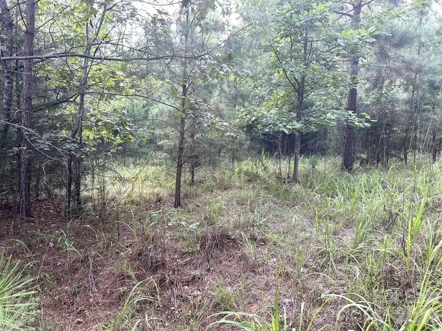 00 Cross Creek Drive #277, Rutherfordton, NC 28139 - #3